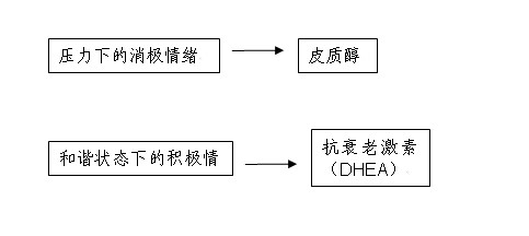 情緒與壓力管理 情緒與壓力管理