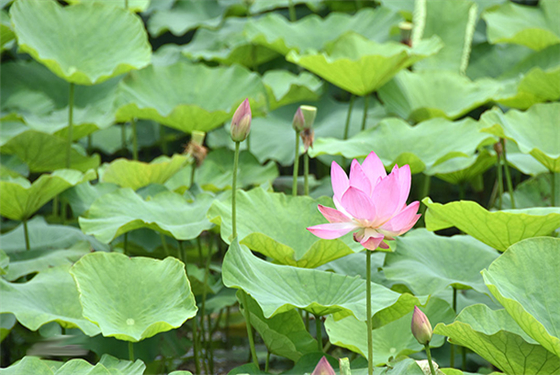 南京巴布洛拓展基地